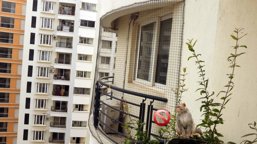 Monkey Protection Nets for Balcony | Call 9901102266 fixing in Bangalore